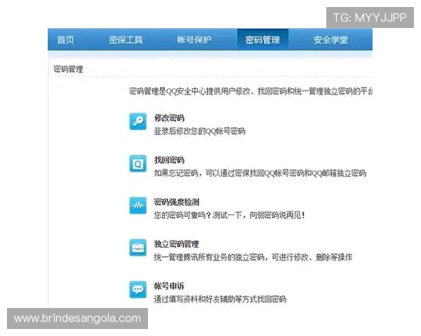 德赢vwin官方网站055如何保障账号安全，防止账号被盗的实用技巧与建议